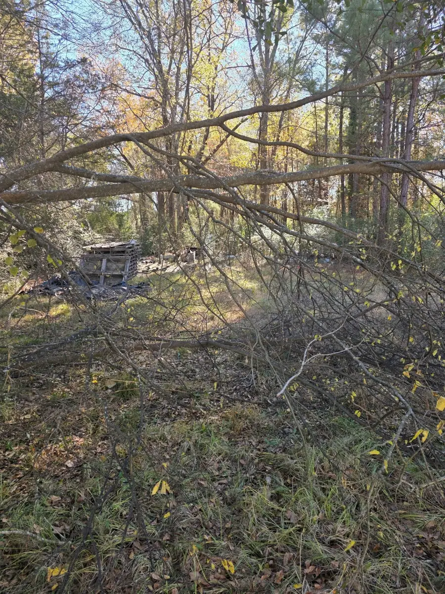 908 Burns Street, Kilgore, TX 75662 - Image #3