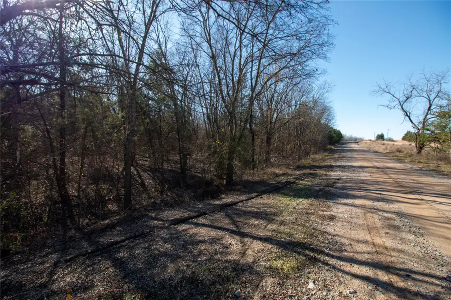 TBDlot4 County Road 2905, Dodd City, TX 75438 - Image #2
