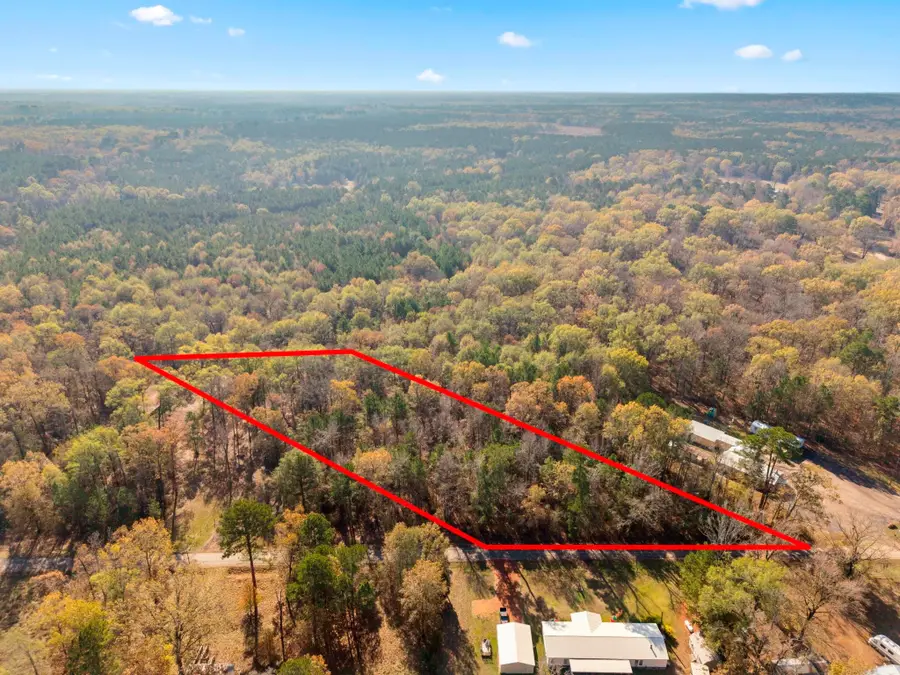 0 County Road 2413 Road, Karnack, TX 75661 - Image #2