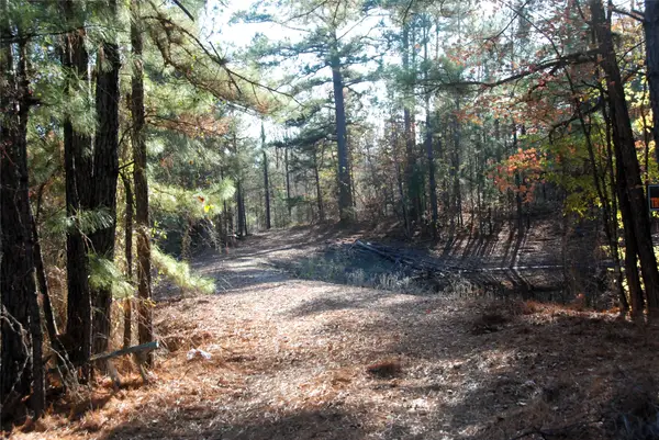 TBD Fm 14, Hawkins, TX 75765