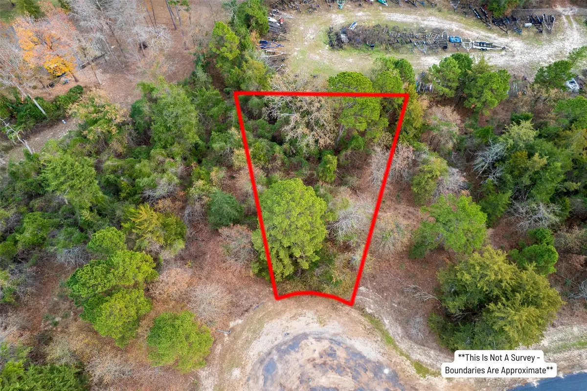 Lot 450 Charlya Drive, Scroggins, TX 75480 - #1