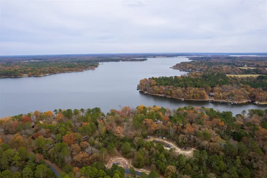 Lot 450 Charlya Drive, Scroggins, TX 75480 - #3