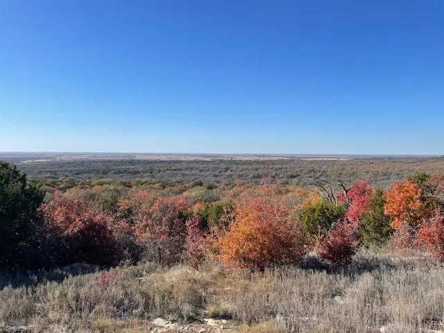 TBD Pecan Shell Rd, Desdemona, TX 76445 - Image #2