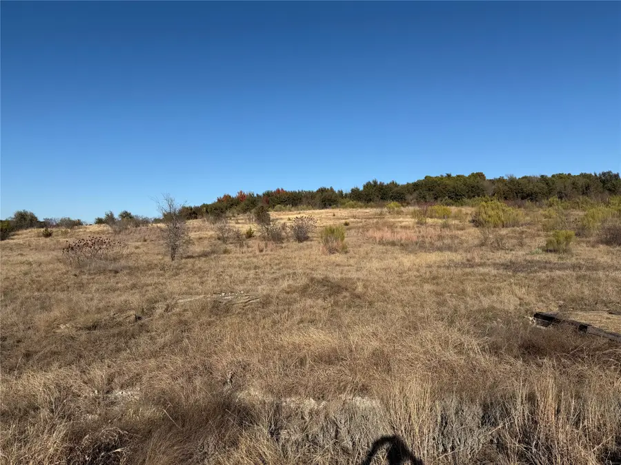 2365 Canyon Wren Loop, Possum Kingdom Lake, TX 76449 - Image #3