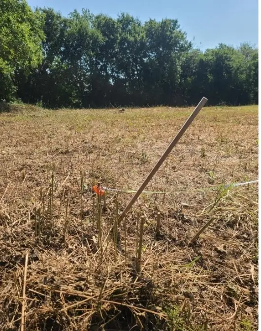 3218 Claibourne Boulevard, Dallas, TX 75212 - Image #3