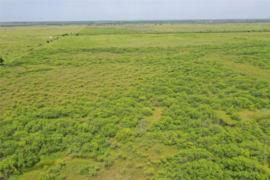 TBD Fm 2321, Bellevue, TX 76228 - Image #3