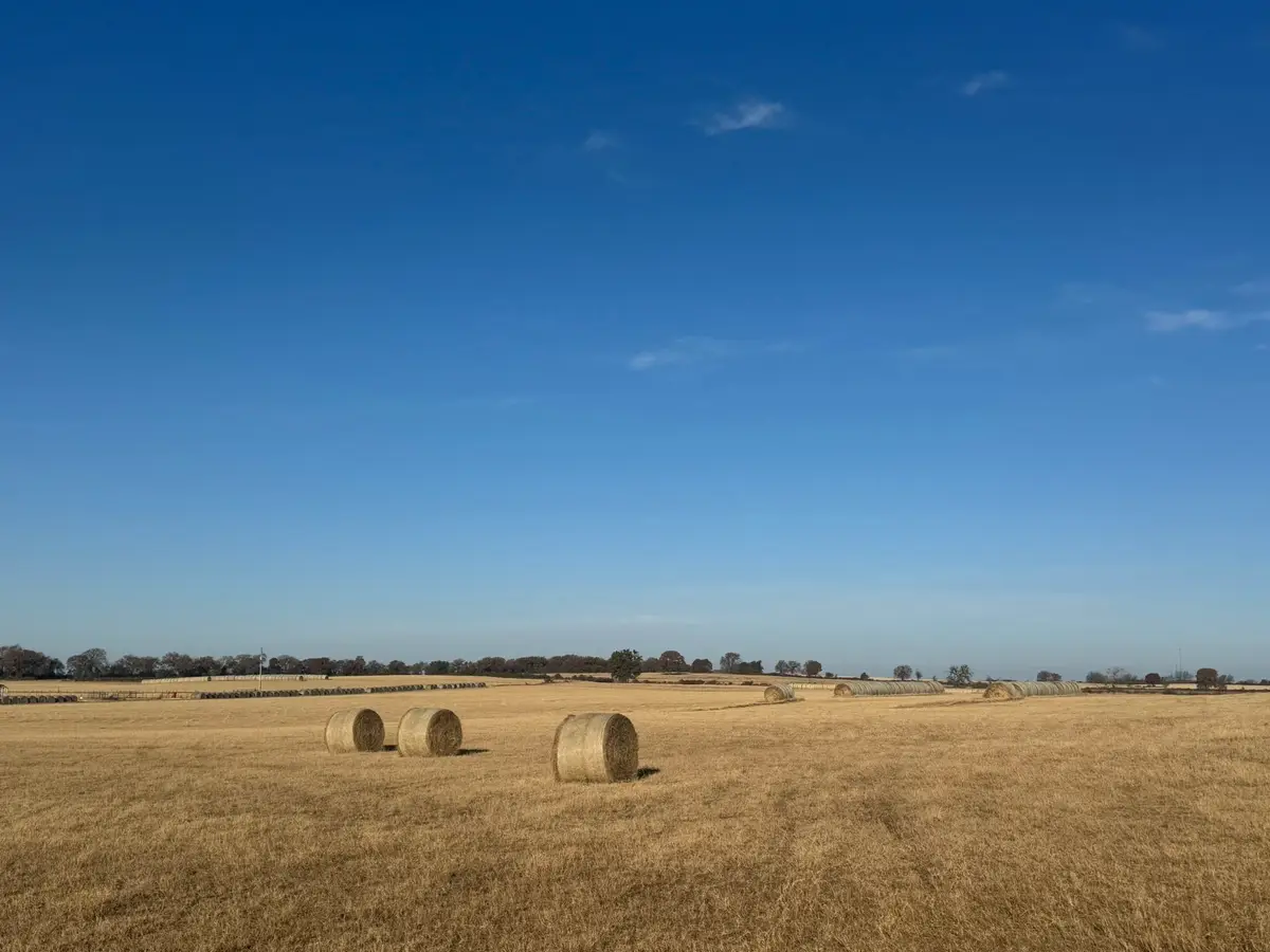 TBD Nix Road, Tolar, TX 76476 - Image #1