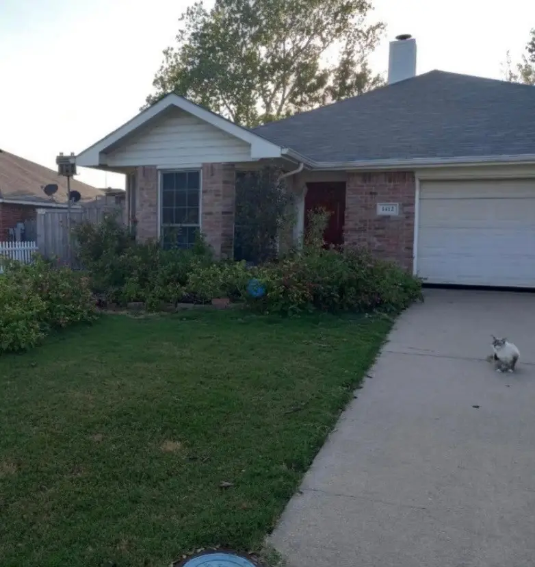 1412 S Medora Street, Terrell, TX 75160 - Image #1