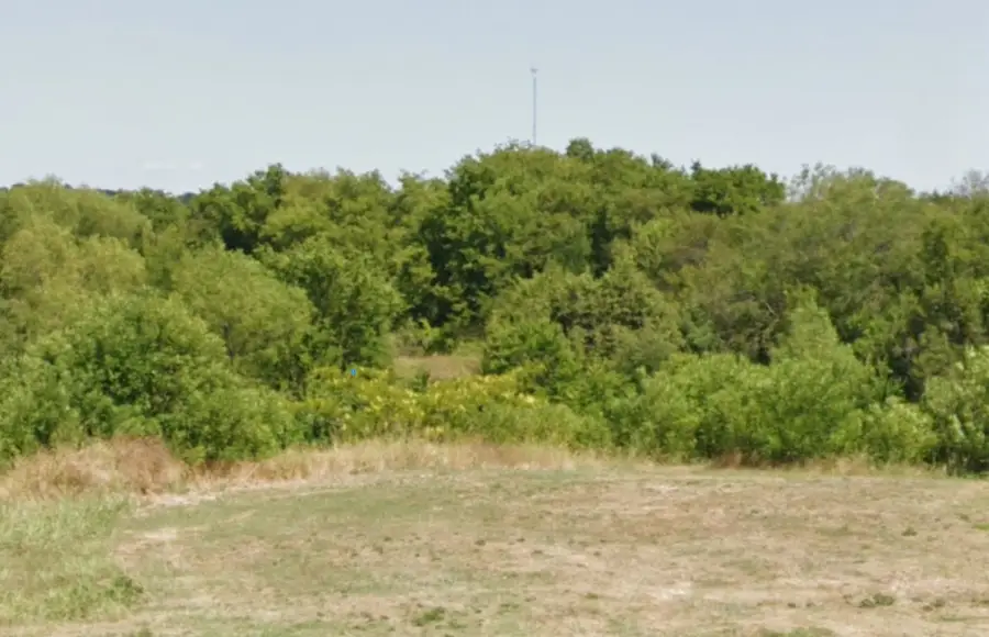 1004 Cove Meadow Court, Cedar Hill, TX 75104 - Image #2