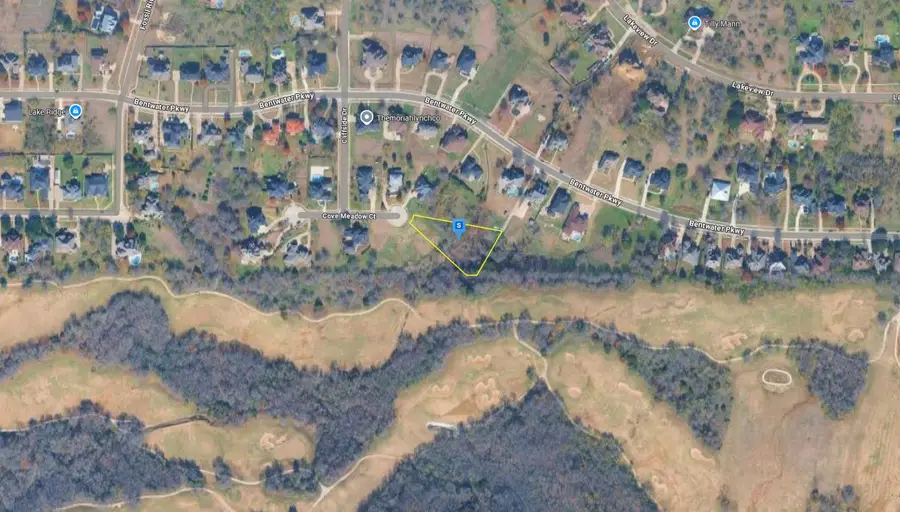 1004 Cove Meadow Court, Cedar Hill, TX 75104 - Image #3