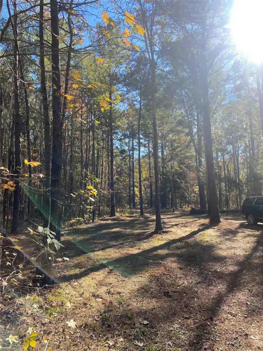 44.2 Acres State Hwy 64, Ben Wheeler, TX 75754 - Image #2