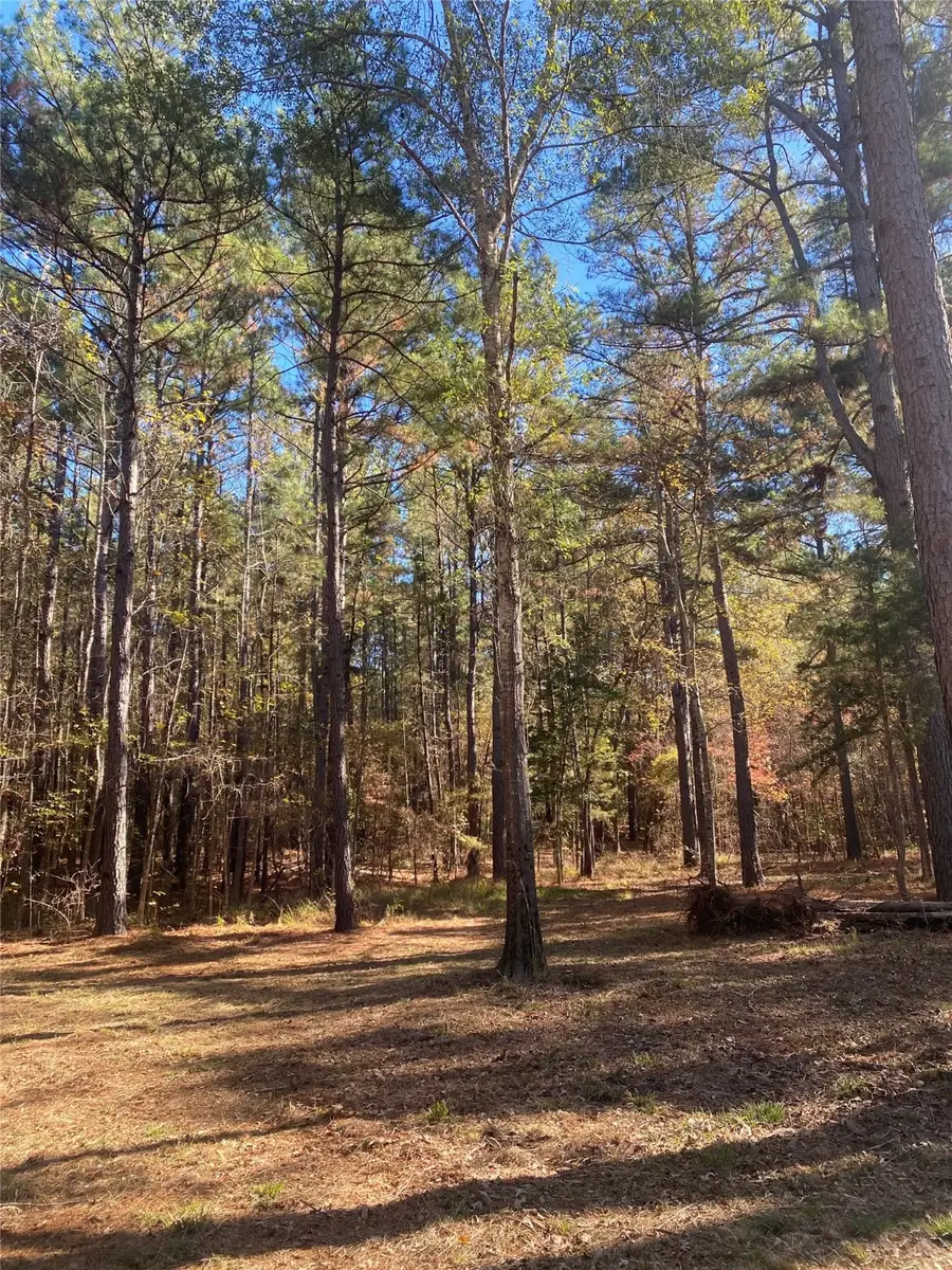 44.2 Acres State Hwy 64, Ben Wheeler, TX 75754 - Image #3