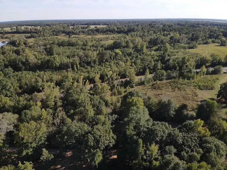 TBD Fm 195, Bagwell, TX 75412 - Image #2