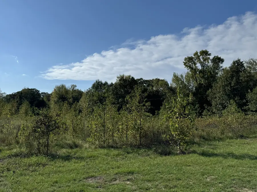 TBD Fm 195, Bagwell, TX 75412 - Image #3