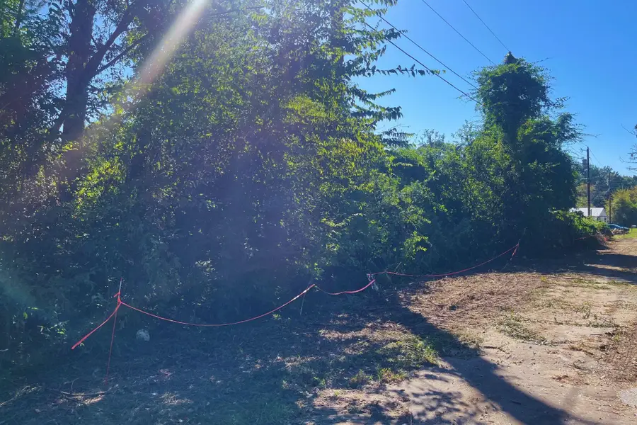 0 Meadow Drive, Frankston, TX 75763 - Image #3