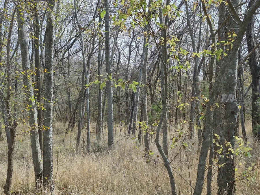 1386 Palmyra Road, Palmer, TX 75152 - Image #2