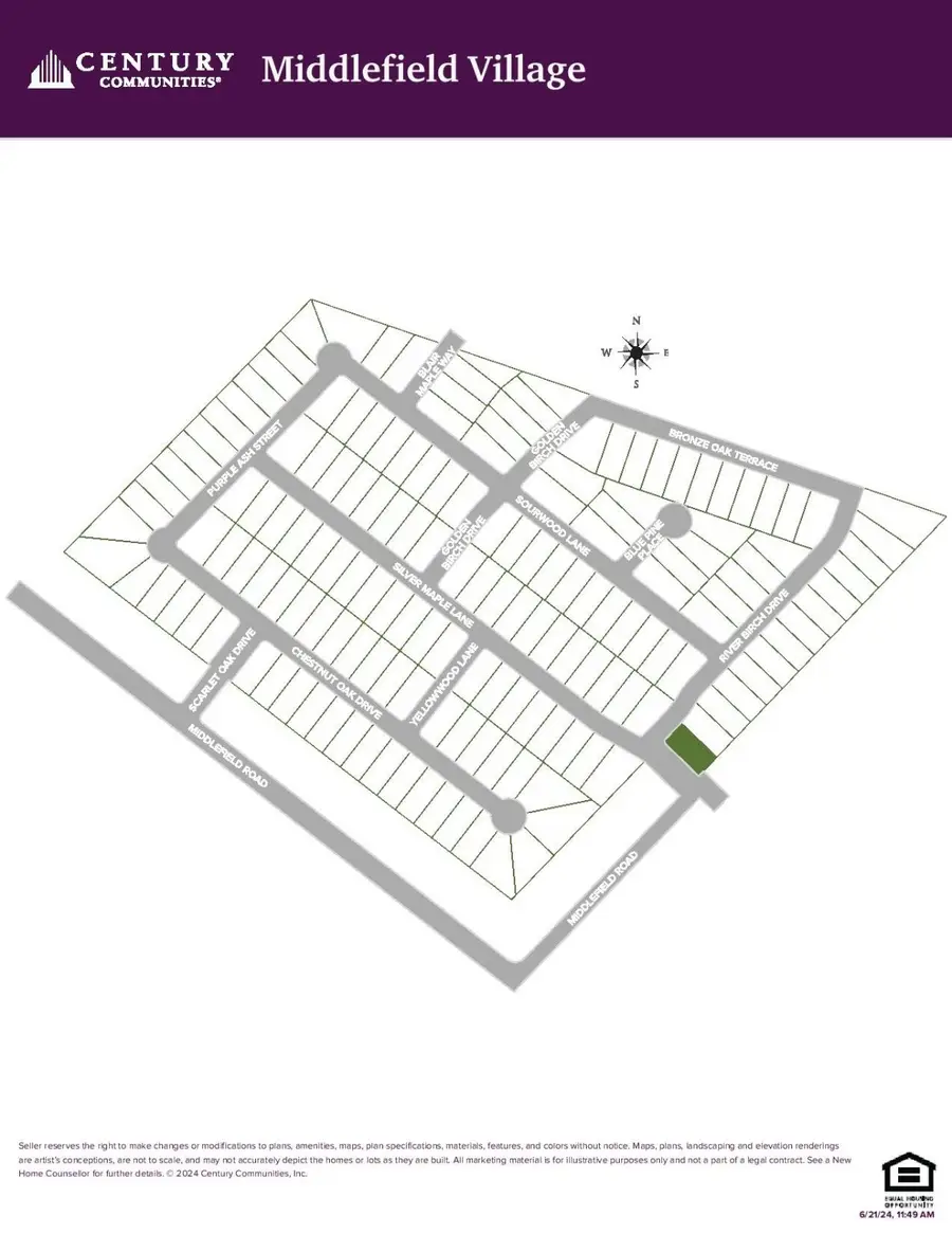 3010 Blue Pine Place, Dallas, TX 75253 - Image #3