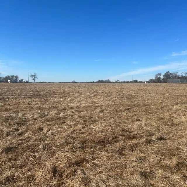 000 Vz County Rd 4406, Ben Wheeler, TX 75754 - Image #3