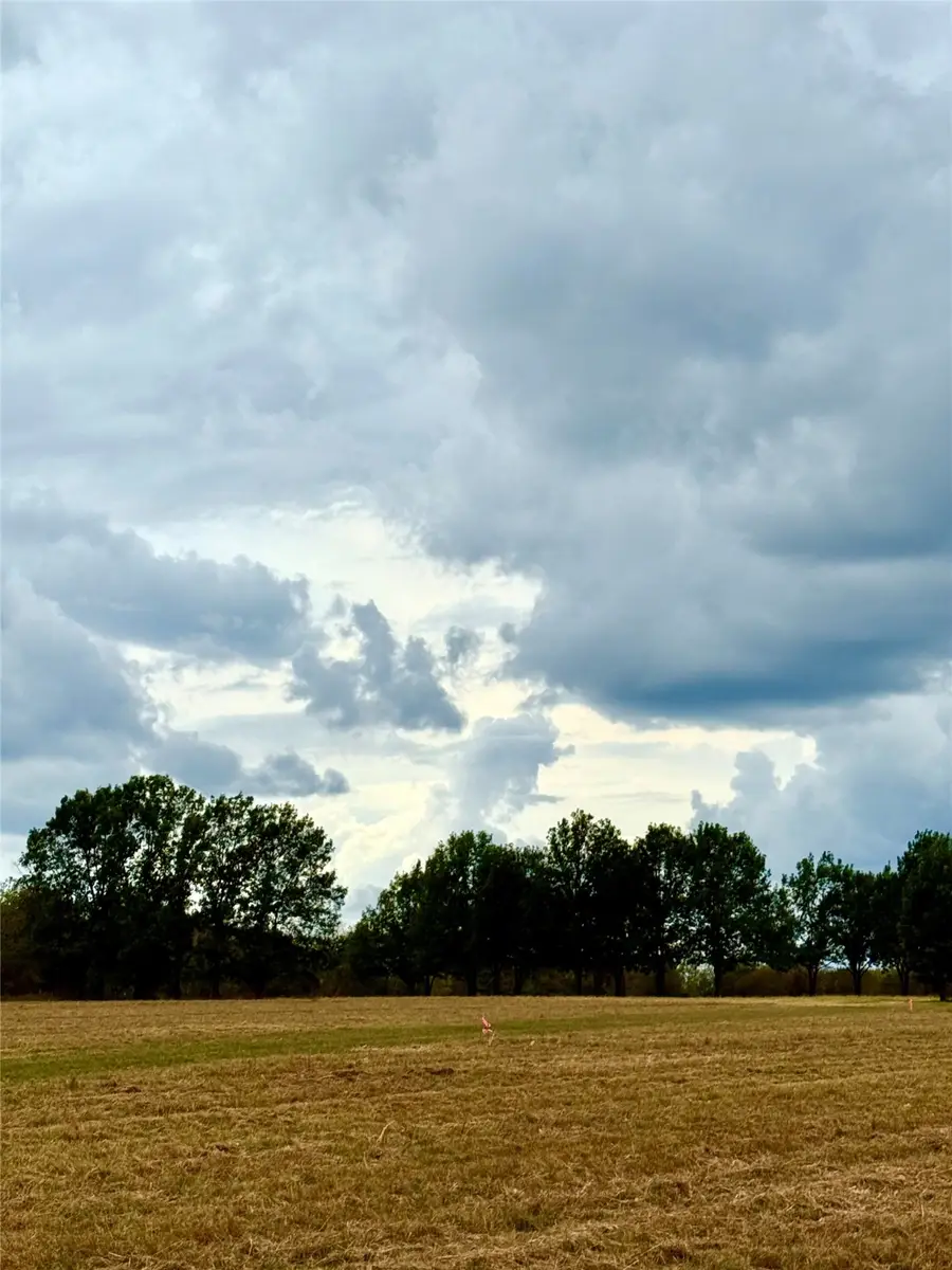 TBD Lot 11 County Road 3811, Wills Point, TX 75169 - Image #3