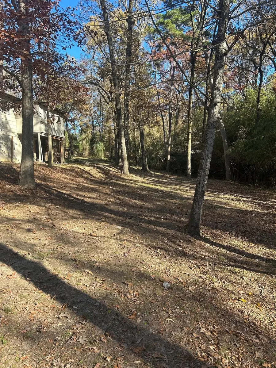 115 Sandy Top Road, Scroggins, TX 75480 - Image #3