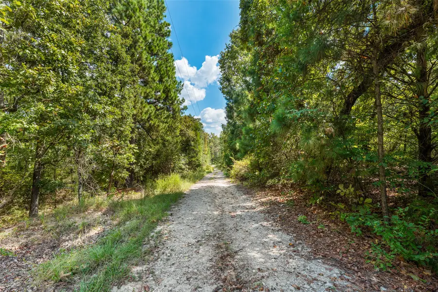 7125 County Road 4837, Larue, TX 75770 - Image #3