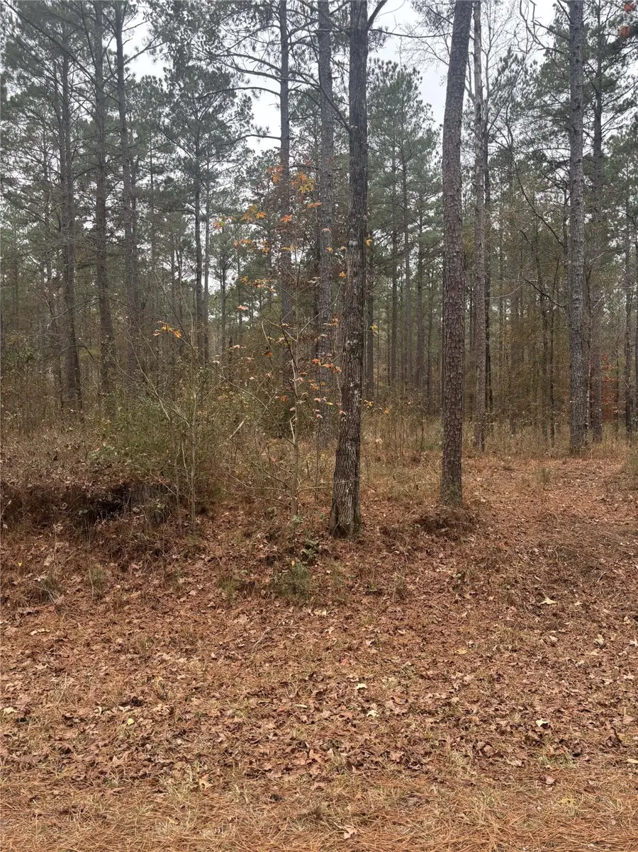 148 Vander Almond Road, Minden, LA 71055 - Image #2