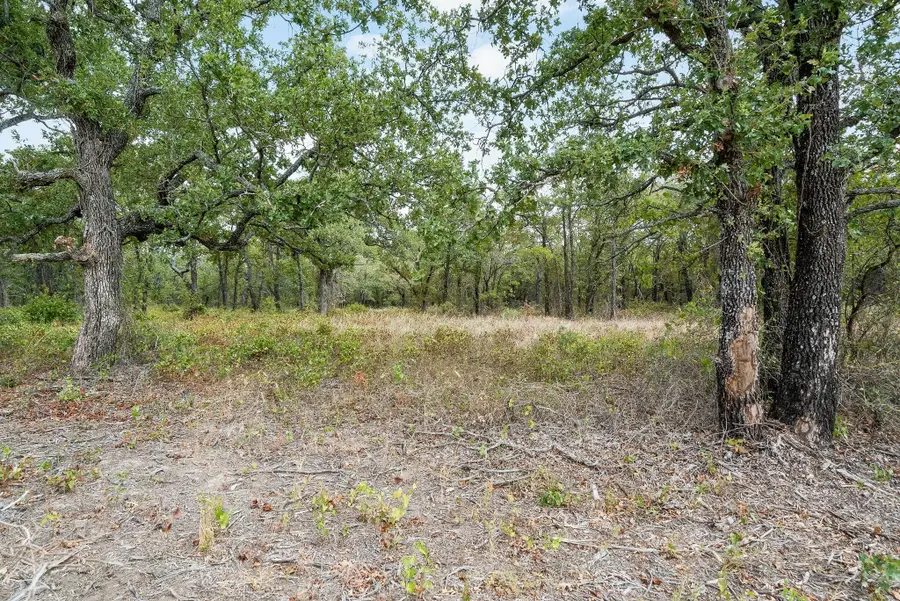 Lot 16 Double B Ranch Road S, Perrin, TX 76486 - Image #3