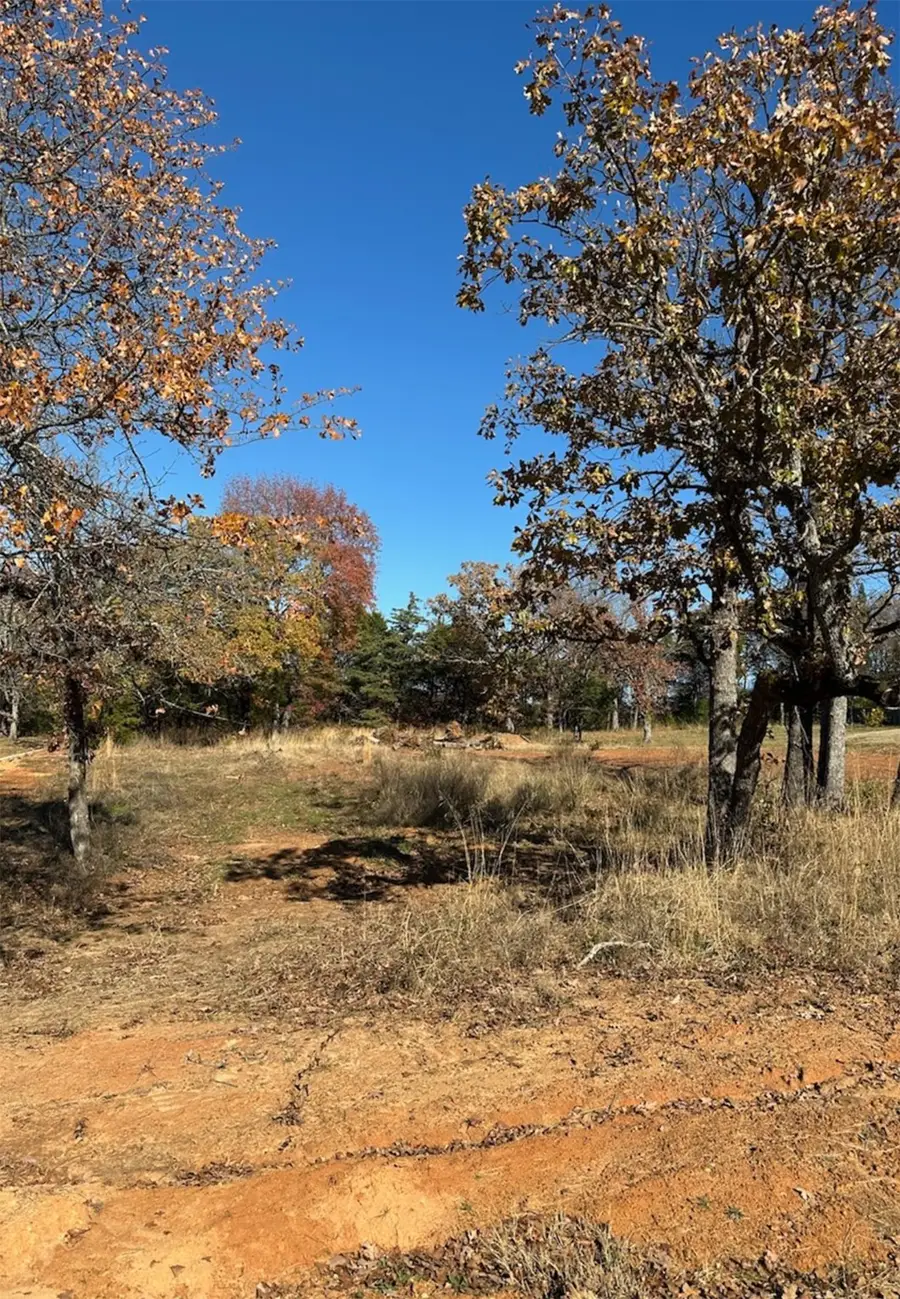 19668 Dove Ridge Drive, Lindale, TX 75771 - #3