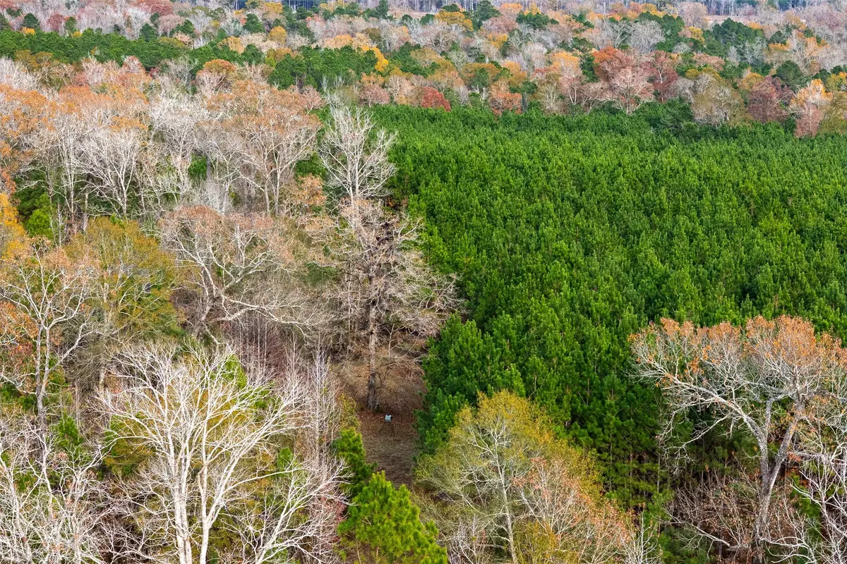 000 County Road 511, Kennard, TX 75847 - Image #1