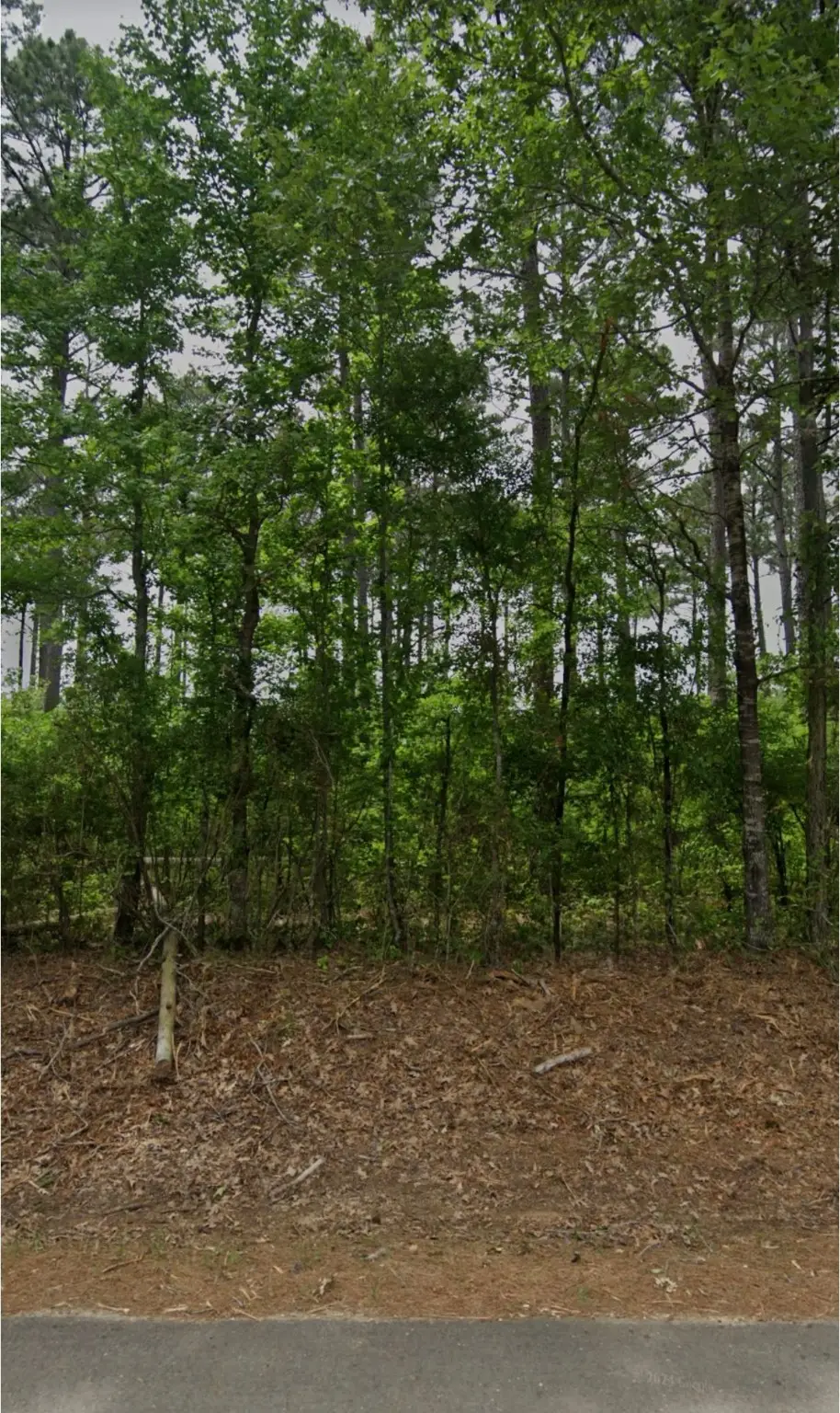 2590 Bodcau Dam Road, Benton, LA 71006 - Image #1