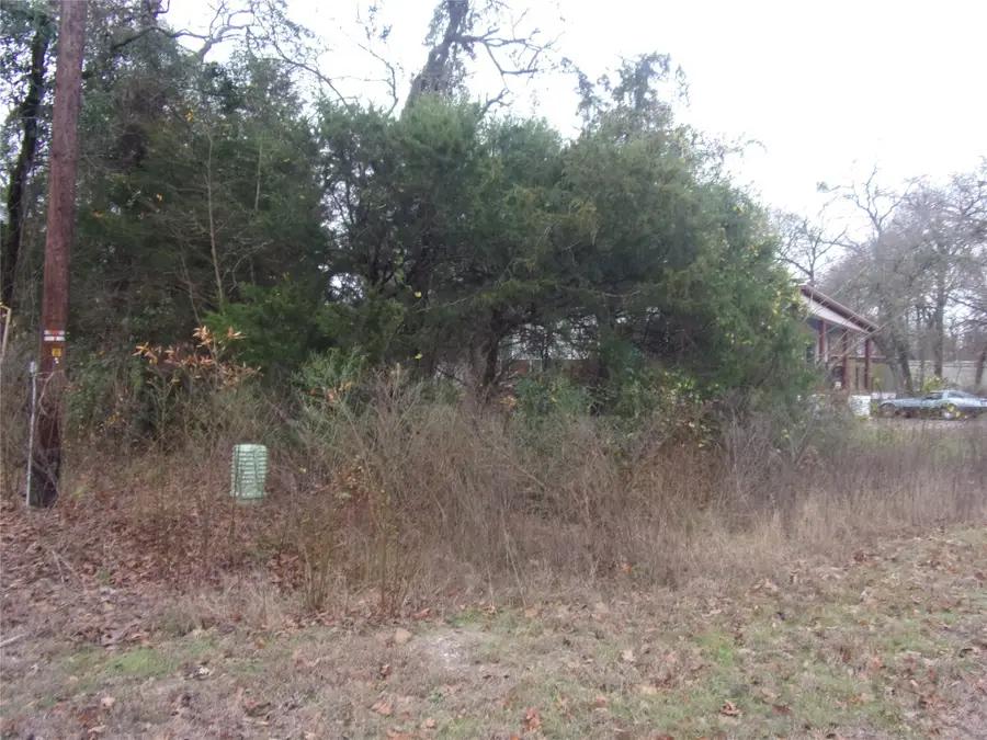 tbd E Elm Drive, Murchison, TX 75778 - #3