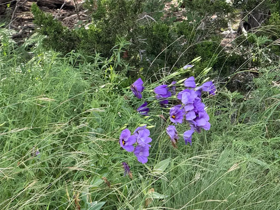 TBD 4120, Meridian, TX 76665 - Image #3