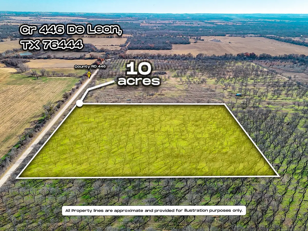 Lot 19 County Road 446, De Leon, TX 76444 - Image #1