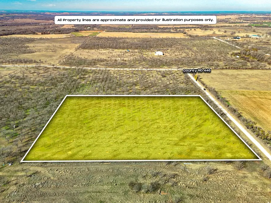 Lot 19 County Road 446, De Leon, TX 76444 - Image #2