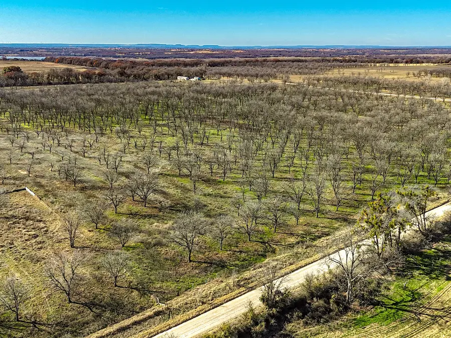 Lot 19 County Road 446, De Leon, TX 76444 - Image #3