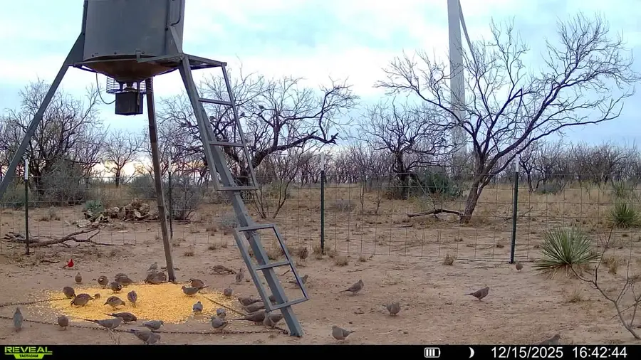 CR 450 Cr 450, No City, TX 79526 - Image #3