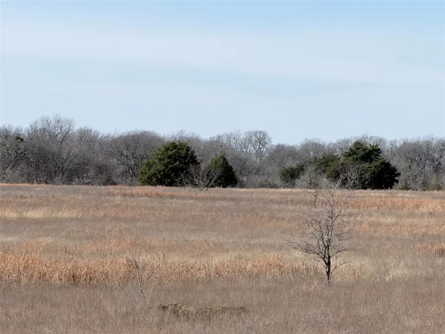 TBD NE County Road 2140, Kerens, TX 75144 - Image #3