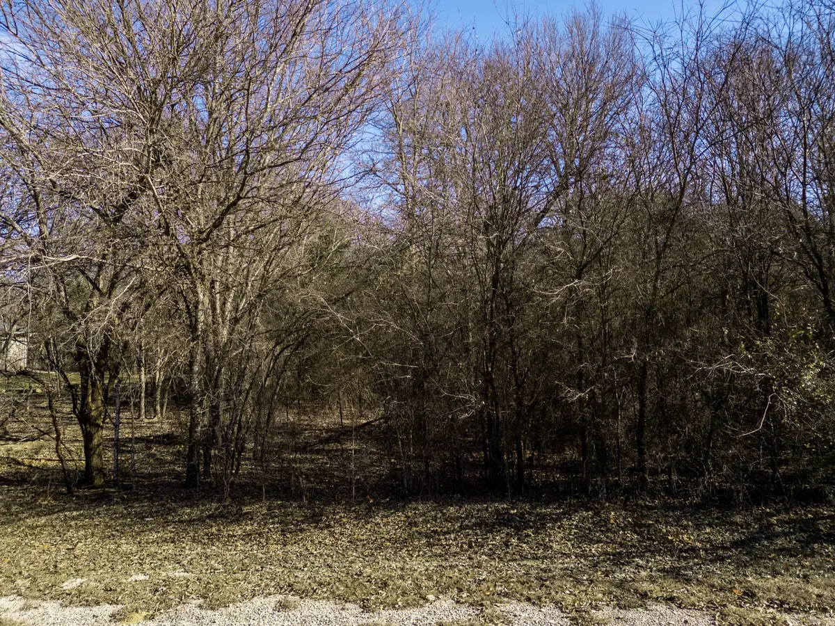 12039 Shady Creek Drive, Whitney, TX 76692 - #1