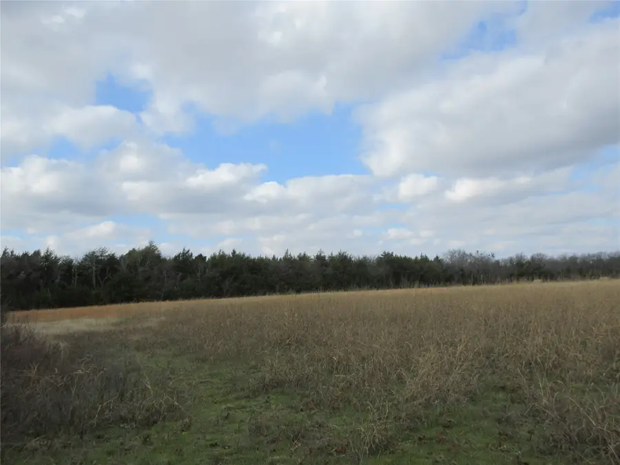 TBD County Road 3040, Bonham, TX 75418 - Image #3