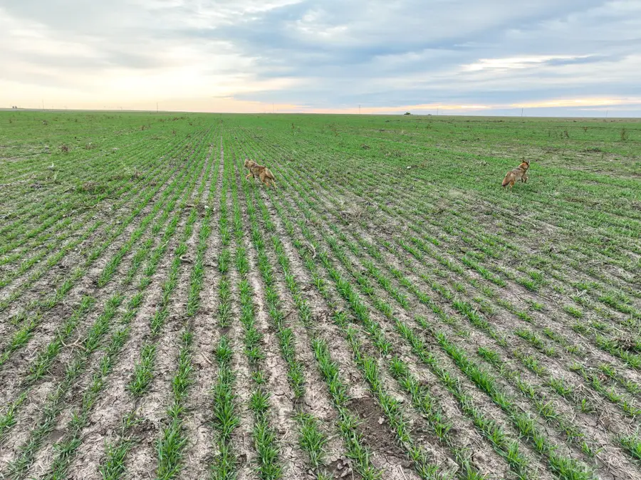 1 County Road 119, Haskell, TX 79521 - Image #3