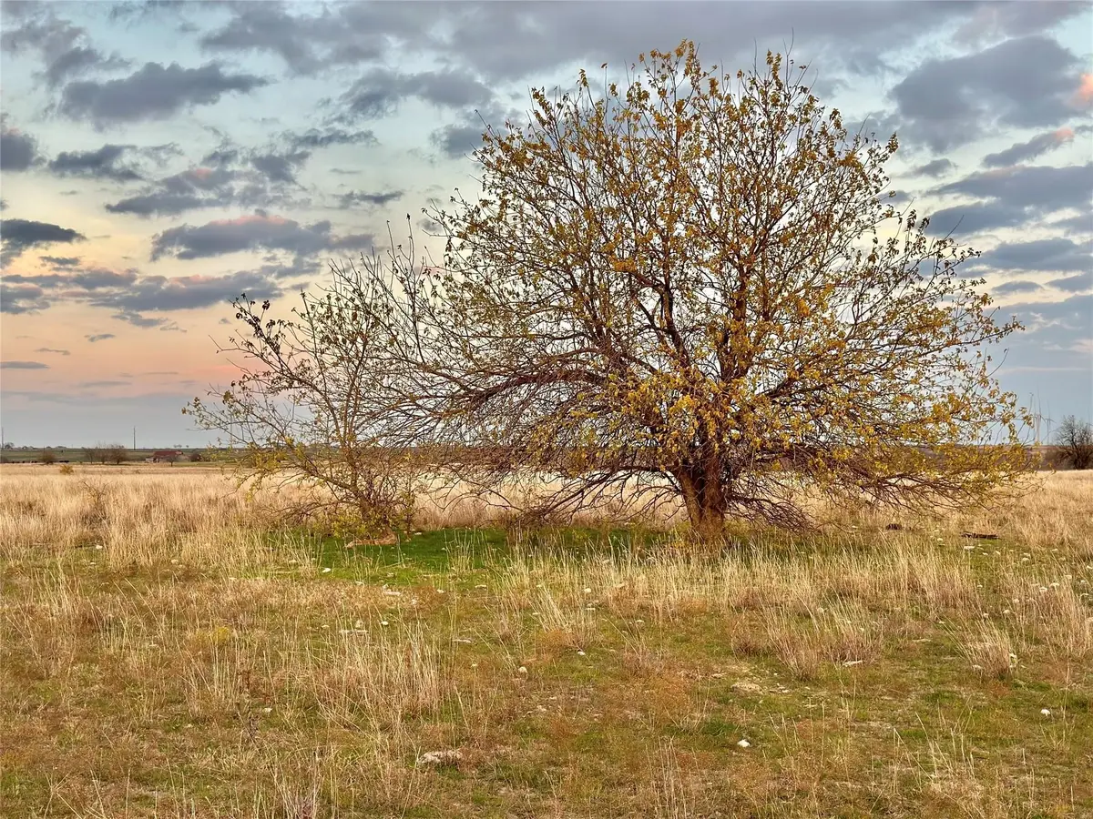 Lot 7 County Road 353, Gainesville, TX 76240 - Image #1
