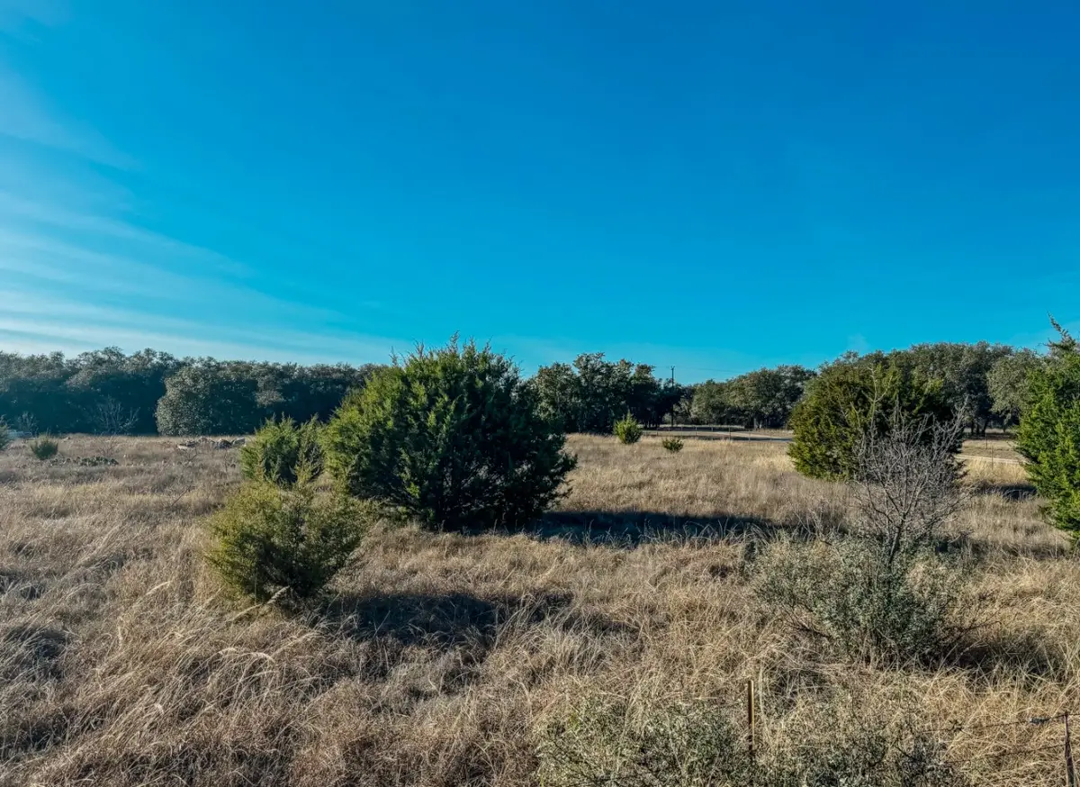 TBD Wild Tree Lane, Early, TX 76802 - Image #1