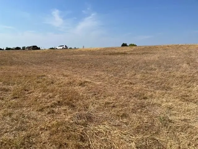 7313 Retreat Boulevard, Cleburne, TX 76033 - Image #3