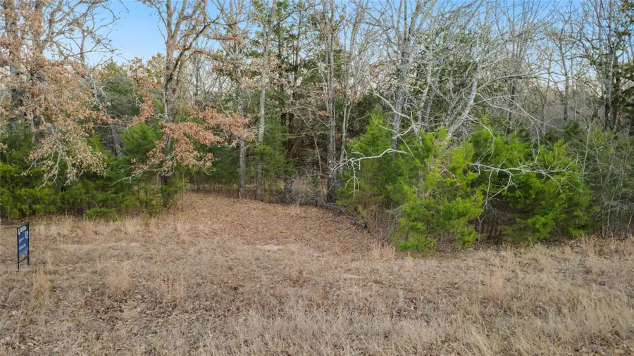 290 Rs County Road 4254, Point, TX 75472 - Image #3