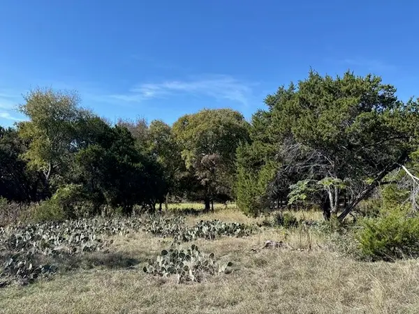 19022 Bluebonnet Drive, Whitney, TX 76692