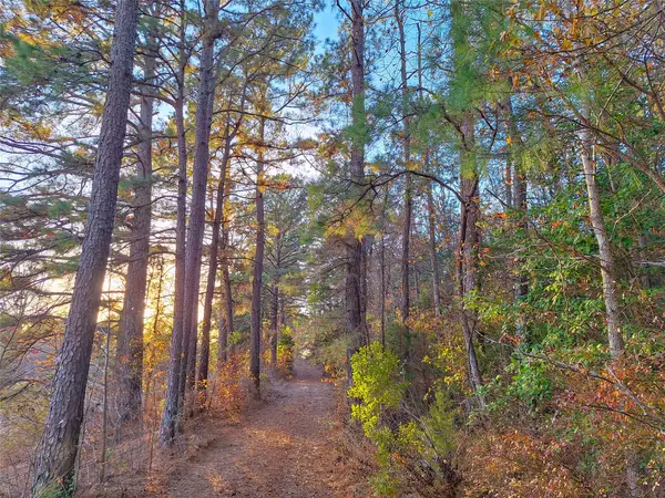 TBD County Road 2920, Hughes Springs, TX 75656