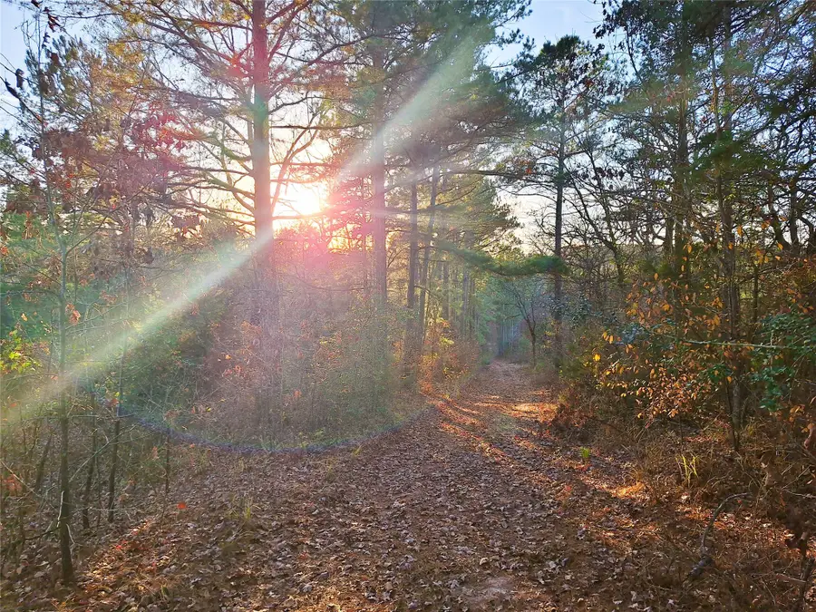 TBD County Road 2920, Hughes Springs, TX 75656 - Image #2