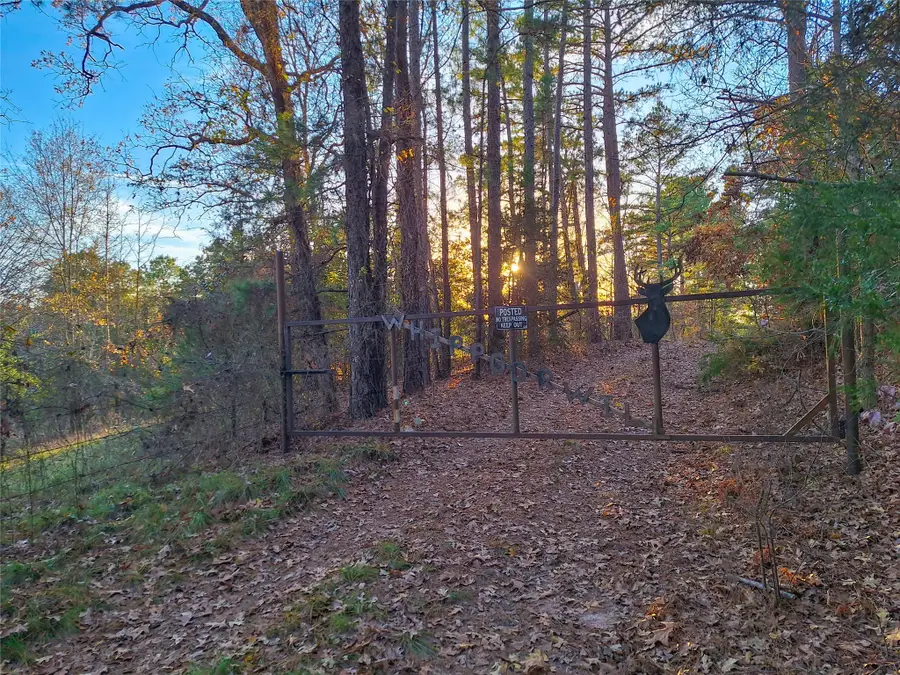 TBD County Road 2920, Hughes Springs, TX 75656 - Image #3