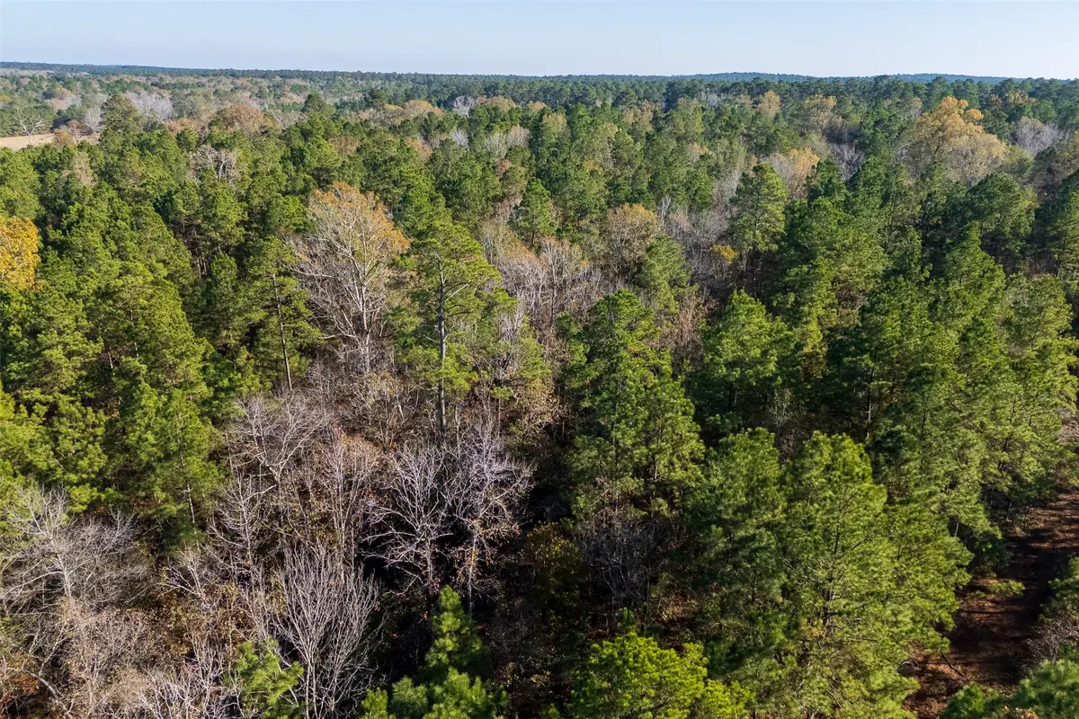 00 County Road 1135, Kennard Ratcliff, TX 75835 - Image #1