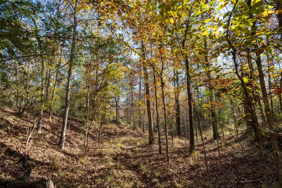 00 County Road 1135, Kennard Ratcliff, TX 75835 - Image #2